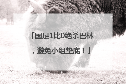 国足1比0绝杀巴林，避免小组垫底！