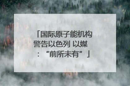 国际原子能机构警告以色列 以媒：“前所未有”