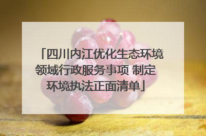 四川内江优化生态环境领域行政服务事项 制定环境执法正面清单