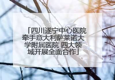 四川遂宁中心医院牵手意大利萨莱诺大学附属医院 四大领域开展全面合作