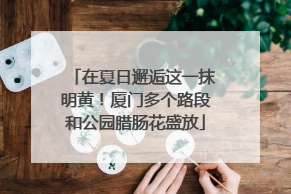 在夏日邂逅这一抹明黄！厦门多个路段和公园腊肠花盛放