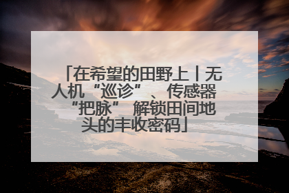 在希望的田野上丨无人机“巡诊”、传感器“把脉” 解锁田间地头的丰收密码