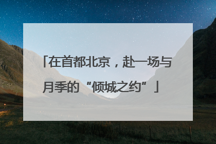在首都北京，赴一场与月季的“倾城之约”
