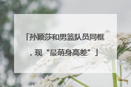 孙颖莎和男篮队员同框，现“最萌身高差”