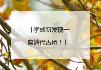 孝感新发现一座清代古桥！