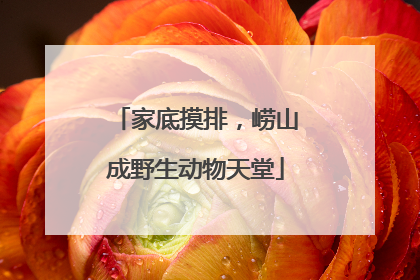家底摸排，崂山成野生动物天堂