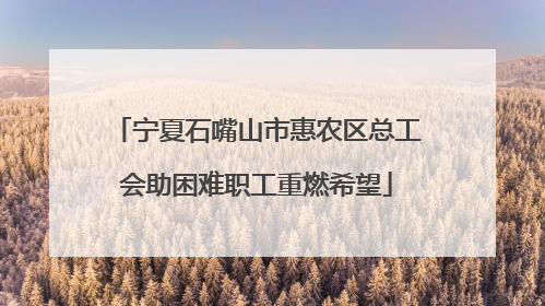 宁夏石嘴山市惠农区总工会助困难职工重燃希望
