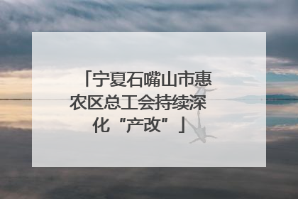 宁夏石嘴山市惠农区总工会持续深化“产改”