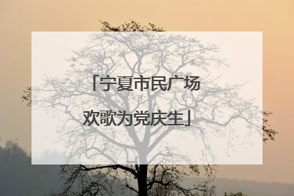 宁夏市民广场欢歌为党庆生