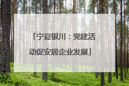 宁夏银川：党建活动促安居企业发展