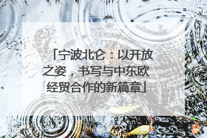 宁波北仑：以开放之姿，书写与中东欧经贸合作的新篇章