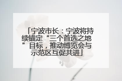 宁波市长：宁波将持续锚定“三个首选之地”目标，推动博览会与示范区互促共进