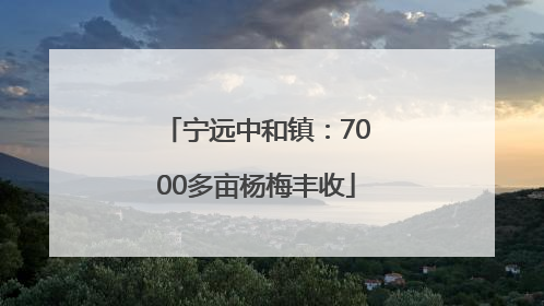 宁远中和镇：7000多亩杨梅丰收