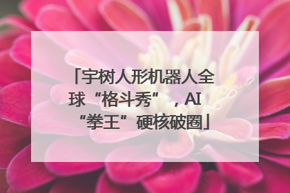 宇树人形机器人全球“格斗秀”，AI“拳王”硬核破圈