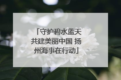 守护碧水蓝天 共建美丽中国 扬州海事在行动