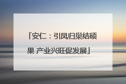 安仁：引凤归巢结硕果 产业兴旺促发展