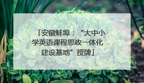 安徽蚌埠：“大中小学英语课程思政一体化建设基地”授牌
