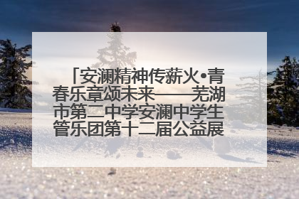 安澜精神传薪火•青春乐章颂未来——芜湖市第二中学安澜中学生管乐团第十二届公益展演圆满举行