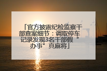 官方披露纪检监察干部查案细节：调取停车记录发现3名干部假“办事”真麻将