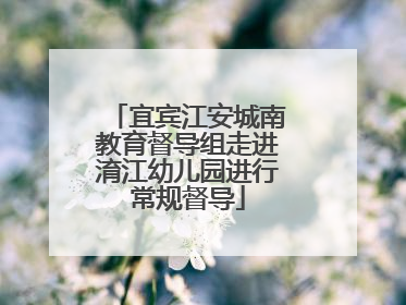 宜宾江安城南教育督导组走进淯江幼儿园进行常规督导