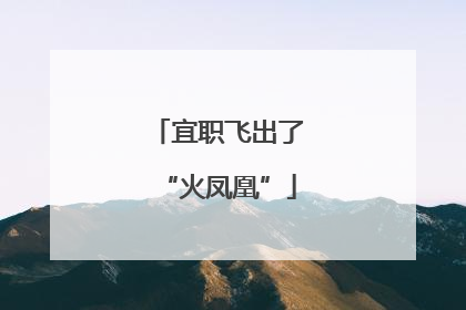 宜职飞出了“火凤凰”