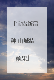 宝岛新品种 山城结硕果