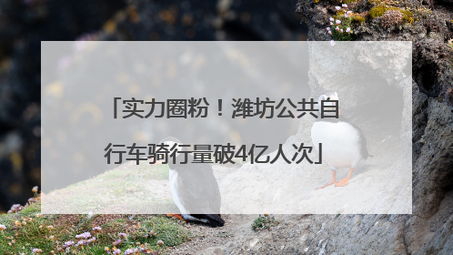 实力圈粉！潍坊公共自行车骑行量破4亿人次