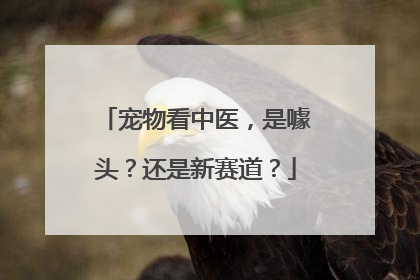 宠物看中医，是噱头？还是新赛道？