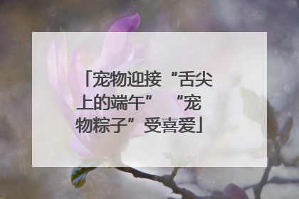 宠物迎接“舌尖上的端午” “宠物粽子”受喜爱