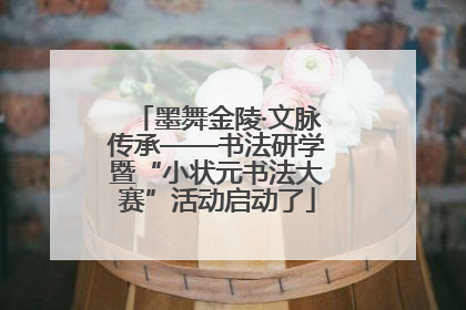 墨舞金陵·文脉传承——书法研学暨“小状元书法大赛”活动启动了