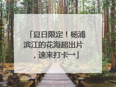 夏日限定！杨浦滨江的花海超出片，速来打卡→