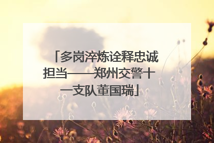 多岗淬炼诠释忠诚担当——郑州交警十一支队董国瑞