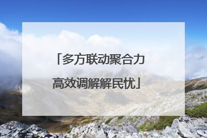 多方联动聚合力 高效调解解民忧