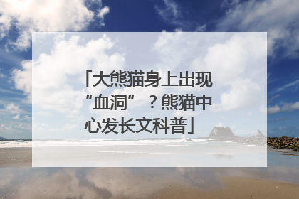 大熊猫身上出现“血洞”？熊猫中心发长文科普