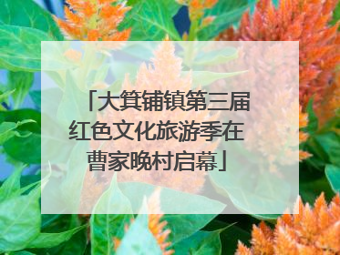大箕铺镇第三届红色文化旅游季在曹家晚村启幕