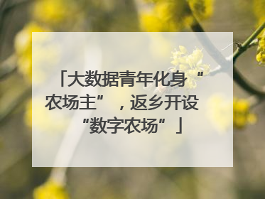 大数据青年化身“农场主”，返乡开设“数字农场”