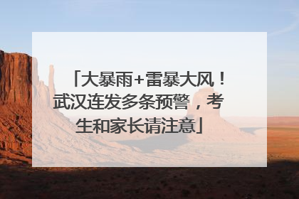 大暴雨+雷暴大风！武汉连发多条预警，考生和家长请注意