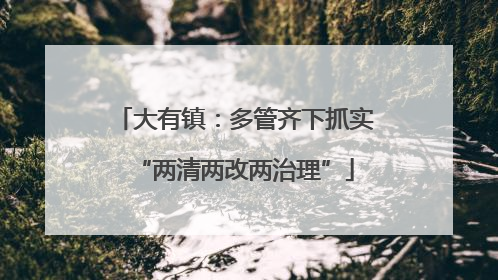 大有镇：多管齐下抓实“两清两改两治理”