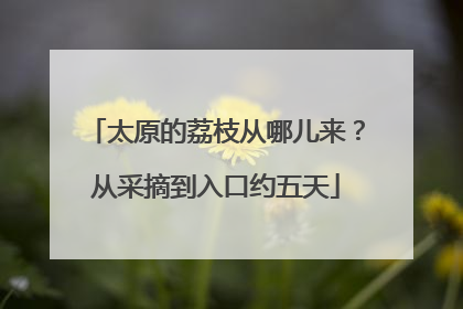 太原的荔枝从哪儿来？从采摘到入口约五天