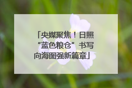 央媒聚焦！日照“蓝色粮仓”书写向海图强新篇章