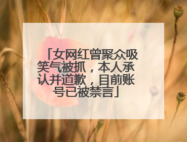 女网红曾聚众吸笑气被抓，本人承认并道歉，目前账号已被禁言