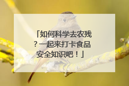 如何科学去农残？一起来打卡食品安全知识吧！