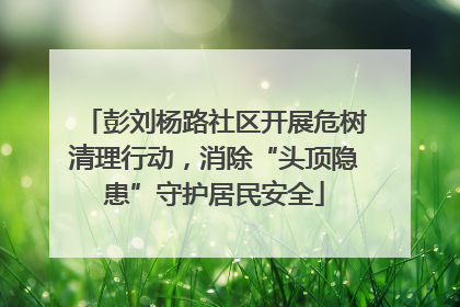 彭刘杨路社区开展危树清理行动，消除“头顶隐患”守护居民安全