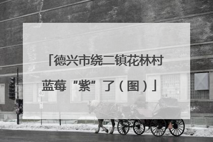 德兴市绕二镇花林村蓝莓“紫”了（图）