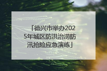 德兴市举办2025年城区防洪治涝防汛抢险应急演练