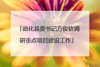 德化县委书记方俊钦调研重点项目建设工作