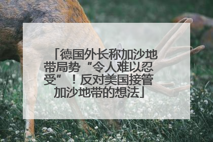 德国外长称加沙地带局势“令人难以忍受”！反对美国接管加沙地带的想法