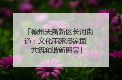 德州天衢新区长河街道：文化雨露浸家园 共筑和谐新图景