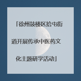 徐州鼓楼区拾屯街道开展传承中医药文化主题研学活动