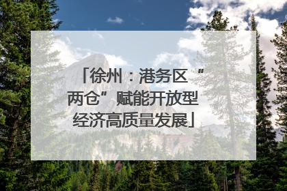 徐州：港务区“两仓”赋能开放型经济高质量发展